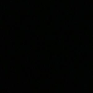 Meet your Posher, Sadie